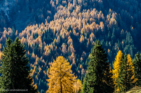 andreabrussi.it - montagna autunnale