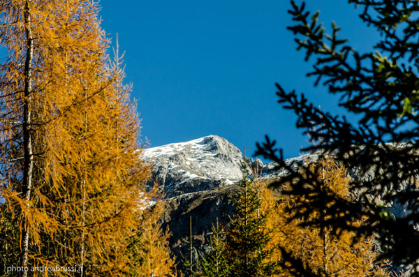 andreabrussi.it - montagna autunnale