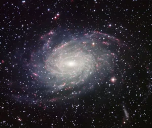 Galaxy like Milky Way